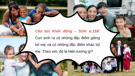 Giáo án Powerpoint Bài 36: Khái quát về di truyền học KHTN 9 Kết nối tri thức