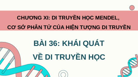 Giáo án Powerpoint Bài 36: Khái quát về di truyền học KHTN 9 Kết nối tri thức