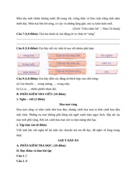 Đề thi giữa kì 1 Tiếng Việt lớp 4 Chân trời sáng tạo (đề 10)