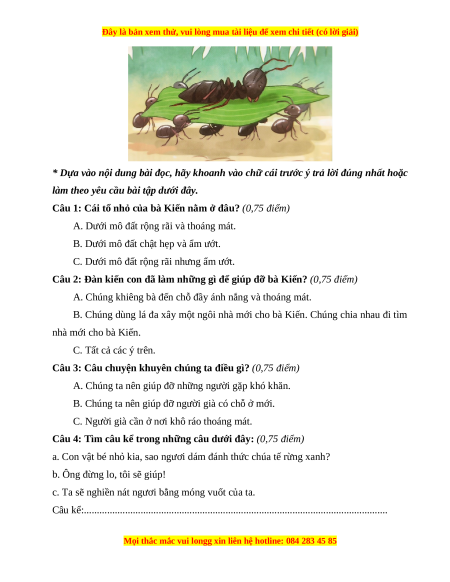 Đề thi cuối kì 1 Tiếng Việt lớp 3 Kết nối tri thức - Đề 4