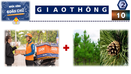 Giáo án Powerpoint Bài 10 Địa lí 9 Kết nối tri thức: Thực hành