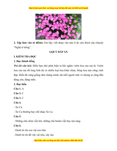 Đề thi giữa kì 1 Tiếng Việt lớp 4 Kết nối tri thức (đề 6)