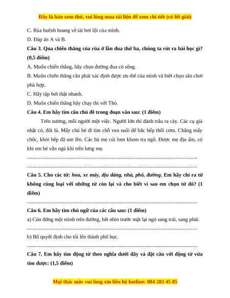 Đề thi cuối kì 1 Tiếng Việt lớp 4 Cánh diều (đề 8)
