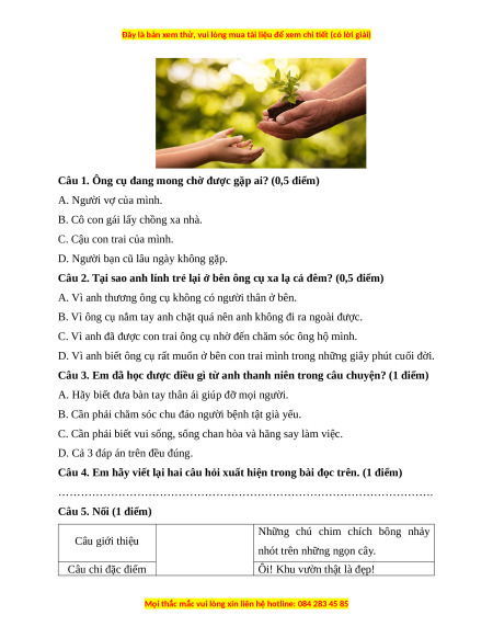 Đề thi cuối kì 1 Tiếng Việt lớp 3 Chân trời sáng tạo - Đề 3