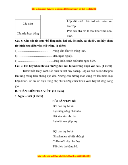 Đề thi cuối kì 1 Tiếng Việt lớp 3 Chân trời sáng tạo - Đề 3