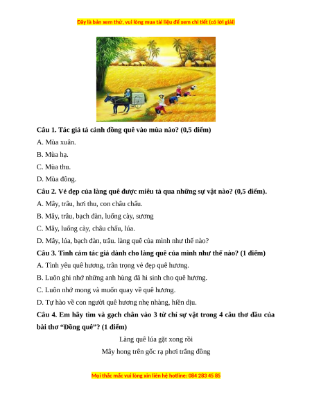 Đề thi cuối kì 1 Tiếng Việt lớp 3 Chân trời sáng tạo - Đề 5