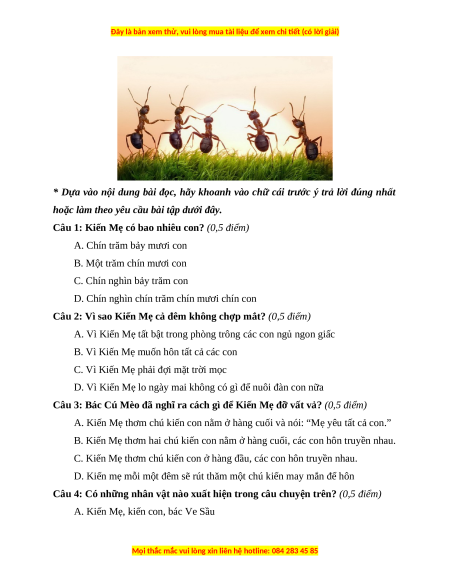 Đề thi cuối kì 1 Tiếng Việt lớp 3 Cánh diều (Đề 5)