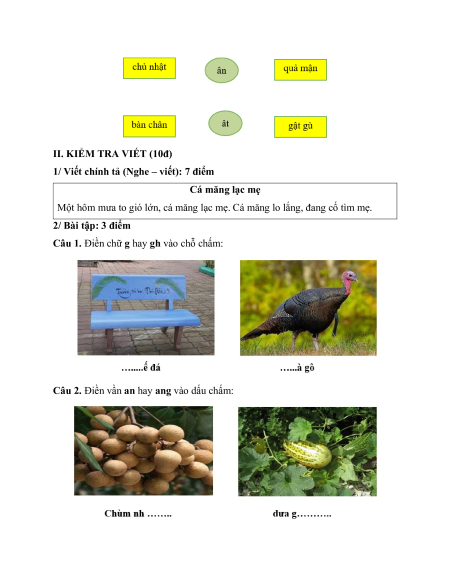 Đề thi Tiếng việt lớp 1 Học kì 1 có lời giải (sách mới)