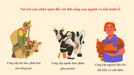 Bài giảng Powerpoint Công nghệ 11 Kết nối tri thức
