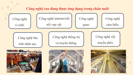 Bài giảng Powerpoint Công nghệ 11 Kết nối tri thức