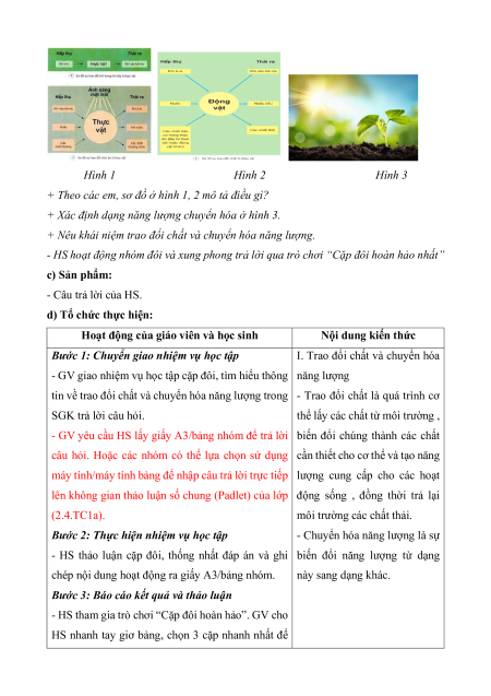 Giáo án Sinh học 7 Kết nối tri thức (năng lực số)