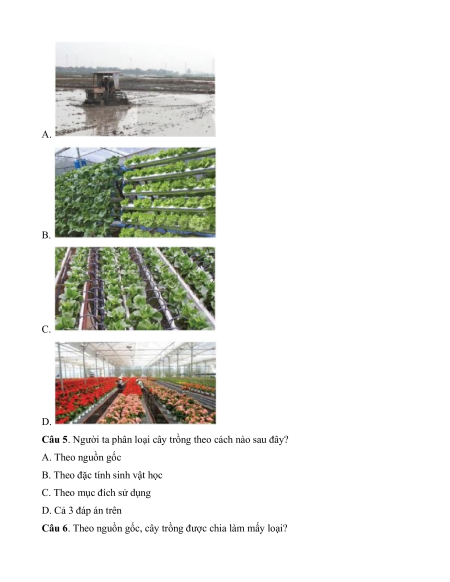 Đề thi Công nghệ 10 Giữa kì 1 Kết nối tri thức