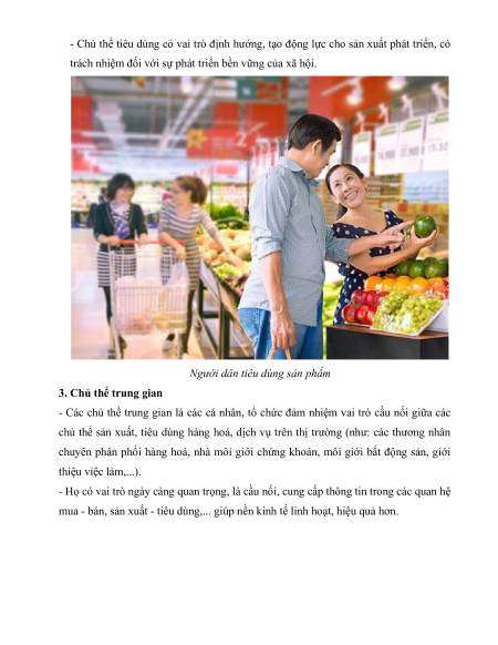 Lý thuyết KTPL 10 Kết nối tri thức (sách mới)