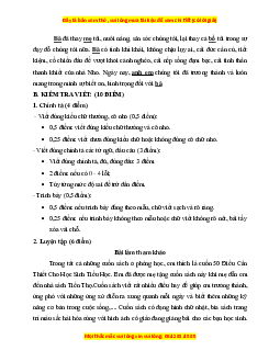 Đề thi giữa kì 1 Tiếng Việt lớp 3 Chân trời sáng tạo (đề 3)