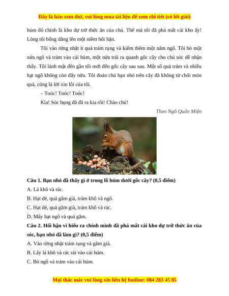 Đề thi cuối kì 1 Tiếng Việt lớp 4 Kết nối tri thức (đề 2)