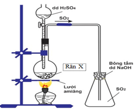 Hình vẽ mô tả điều chế khí SO2 trong phòng thí nghiệm, Điều nào sau đây là sai (ảnh 1)