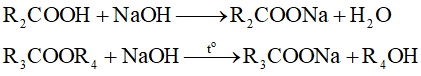 Hỗn hợp A gồm một axit đơn chức, một ancol đơn chức và một este đơn chức (ảnh 5)
