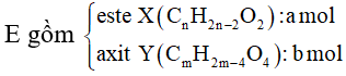 Hỗn hợp E gồm este X đơn chức và axit cacboxylic Y hai chức (ảnh 2)