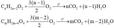 Hỗn hợp E gồm este X đơn chức và axit cacboxylic Y hai chức (ảnh 4)