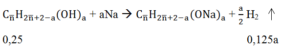 Đốt cháy hoàn toàn hỗn hợp M gồm hai rượu (ancol) X và Y là đồng đẳng kế tiếp của nhau (ảnh 4)