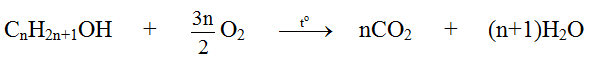 Đốt cháy hoàn toàn hỗn hợp M gồm hai ancol X và Y là đồng đẳng kế tiếp của nhau (ảnh 1)