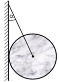 Một quả cầu có khối lượng 2,5kg được treo vào tường nhờ một sợi dây (ảnh 1)