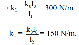 Một lò xo có các vòng giống hệt nhau có chiều dài tự nhiên là l0 = 24cm (ảnh 1)