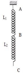 Hai lò xo L1, L2 có độ cứng k1 = 100N/m và k2 = 150N/m được móc vào nhau (ảnh 1)