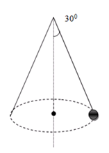 Một quả cầu khối lượng 0,5kg được buộc vào đầu của 1 sợi dây dài 0,5m rồi quay dây (ảnh 1)