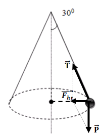 Một quả cầu khối lượng 0,5kg được buộc vào đầu của 1 sợi dây dài 0,5m rồi quay dây (ảnh 3)