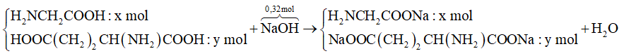 Đun nóng dung dịch chứa 0,2 mol hỗn hợp gồm glyxin và axit glutamic cần dùng 320ml (ảnh 1)