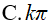 Giải phương trình 5cos(x) - 2sin(x/2) +7 =0: A.pi+k2pi B.pi+k4pi C.kpi D.Tất cả sai (ảnh 4)