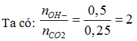 Sục 5,6 lít khí CO2 (đktc) vào 200ml dung dịch hỗn hợp NaOH 1M, Ba(OH)2 0,5M (ảnh 1)