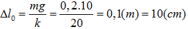 Một lò xo có độ cứng k = 20N/m treo thẳng đứng. Treo vào đầu dưới lò xo (ảnh 1)