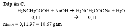 Cho 0,11 mol glyxin tác dụng hết với dung dịch NaOH, thu được m gam muối (ảnh 1)