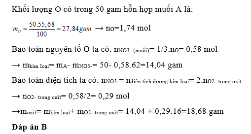 X là hỗn hợp các muối Cu(NO3)2, Fe(NO3)2, Fe(NO3)3, Mg(NO3)2 (ảnh 1)