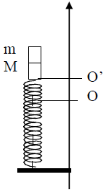 Một vật nhỏ có khối lượng M = 0,9kg gắn trên một lò xo nhẹ thẳng đứng (ảnh 1)