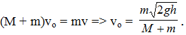 Con lắc lò xo gồm vật nặng M = 300g, lò xo có độ cứng k = 200N/m (ảnh 3)