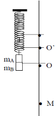 Hai vật A, B dán liền nhau mB = 2mA = 200g, treo vào một lò xo có độ cứng (ảnh 1)
