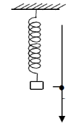 Một con lắc lò xo thẳng đứng gồm lò xo nhẹ có độ cứng k = 100N/m (ảnh 1)