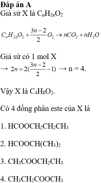 Đốt Cháy Este Đơn Chức Mạch Hở: Phản Ứng Hóa Học và Ứng Dụng Thực Tiễn