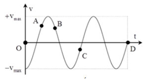 ﻿Một vật dao động điều hòa có đồ thị vận tốc như hình (ảnh 1)