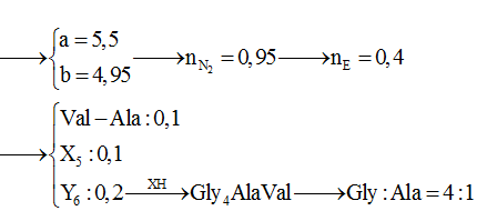 Hỗn hợp E gồm pentapeptit X, hexapeptit Y, Val-Ala trong X, Y đều chứa cả Ala, Gly,Val (ảnh 3)