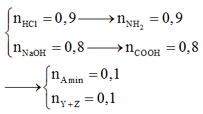 Hỗn hợp M gồm amin X, amino axit Y (X, Y đều no, mạch hở) và peptit Z (ảnh 1)