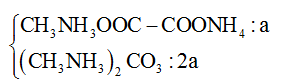 Hỗn hợp E gồm chất X (C3H10N2O4)  và chất Y (C3H12N2O3) (ảnh 1)