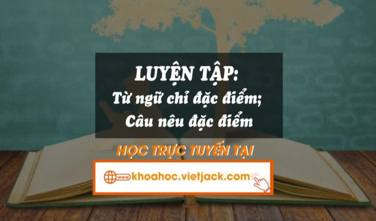 Bài 10. Luyện tập: Từ ngữ chỉ đặc điểm: Câu nêu đặc điểm