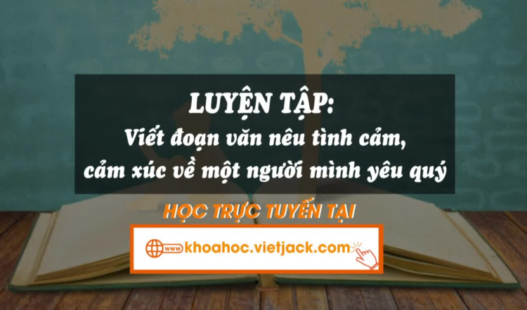 Bài 10. Luyện tập: Viết đoạn văn nêu tình cảm, cảm xúc về một người mình yêu quý
