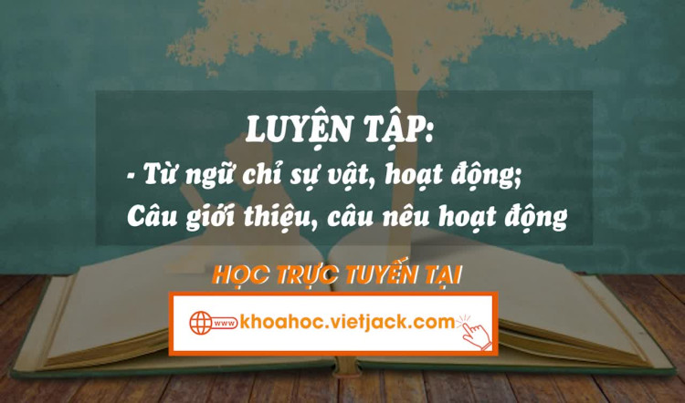 Bài 2. Luyện tập: Từ ngữ chỉ sự vật, hoạt động; Câu giới thiệu, câu nêu hoạt động