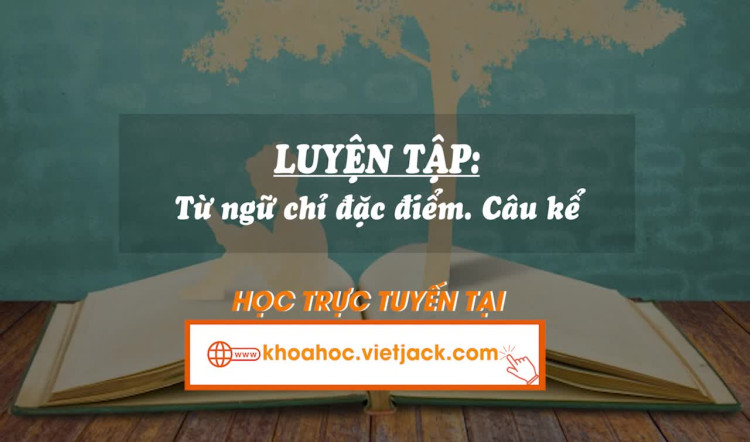 Bài 22. Luyện tập: Từ ngữ chỉ đặc điểm; câu kể