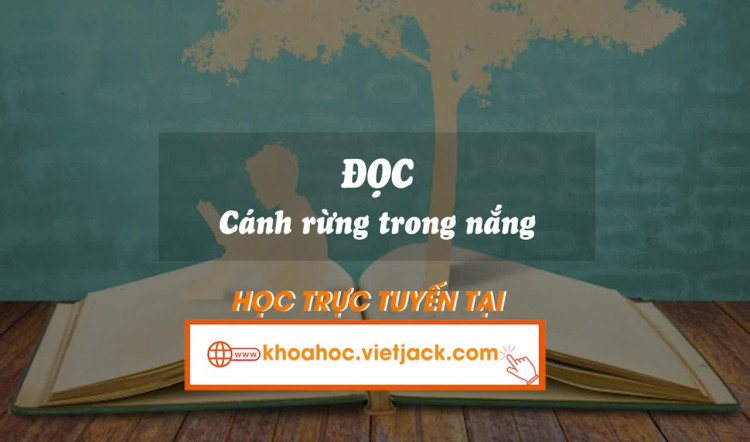 Bài 3. Đọc: Cánh rừng trong trắng